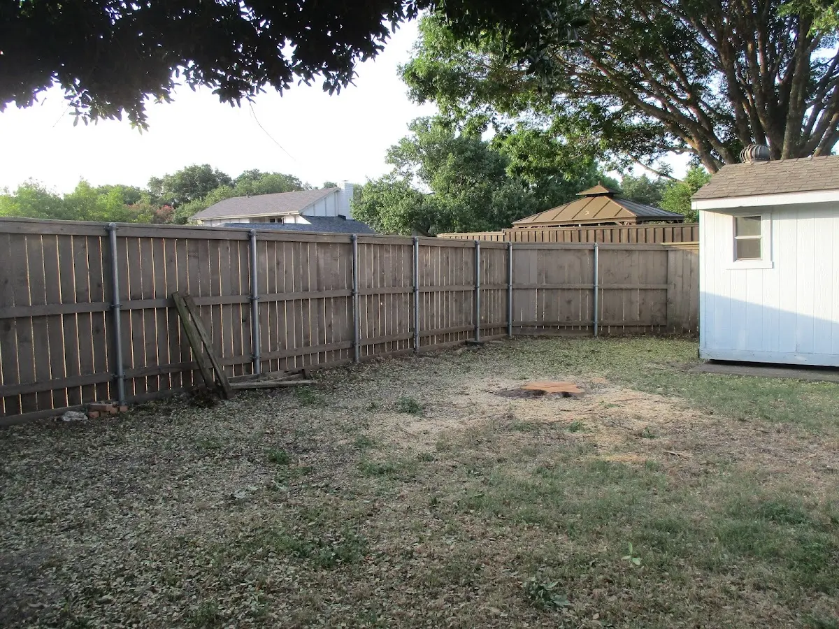 Cleared yard after professional tree removal in Mc Intire