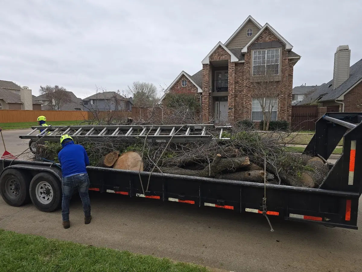 Expert Lot Clearing with proper safety equipment in Mc Intire